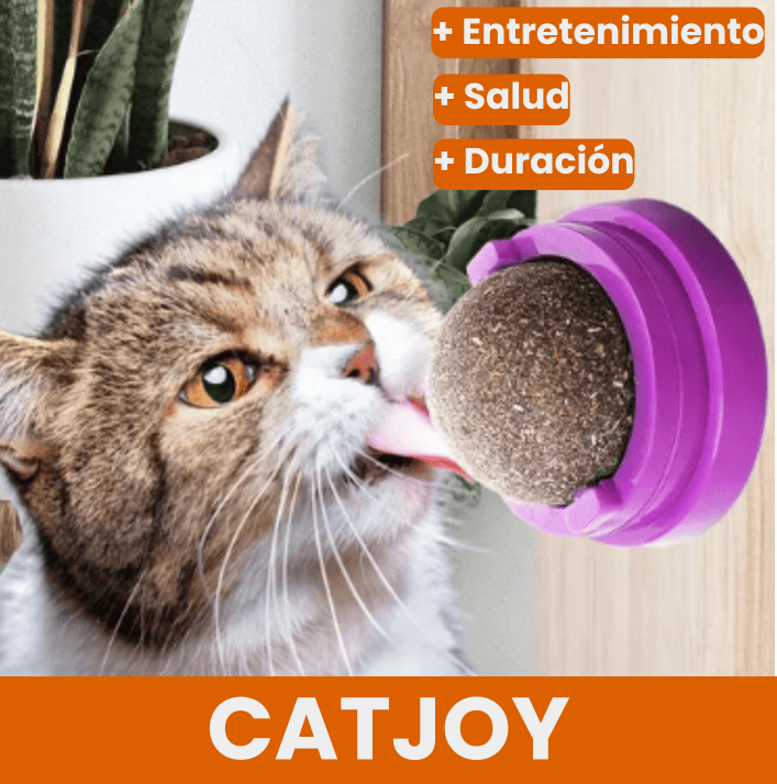 ¡¡Super 2x1!! - CatJoy® - Bola de Catnip con Hierba Gatera