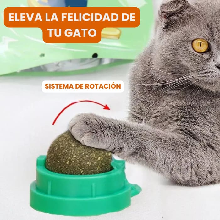 ¡¡Super 2x1!! - CatJoy® - Bola de Catnip con Hierba Gatera